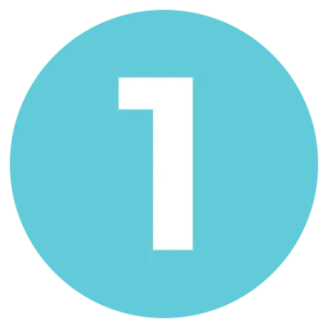 Bullet Point 1