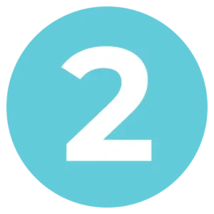 Bullet Point 2