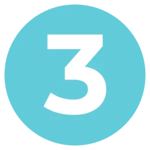 Bullet Point 3