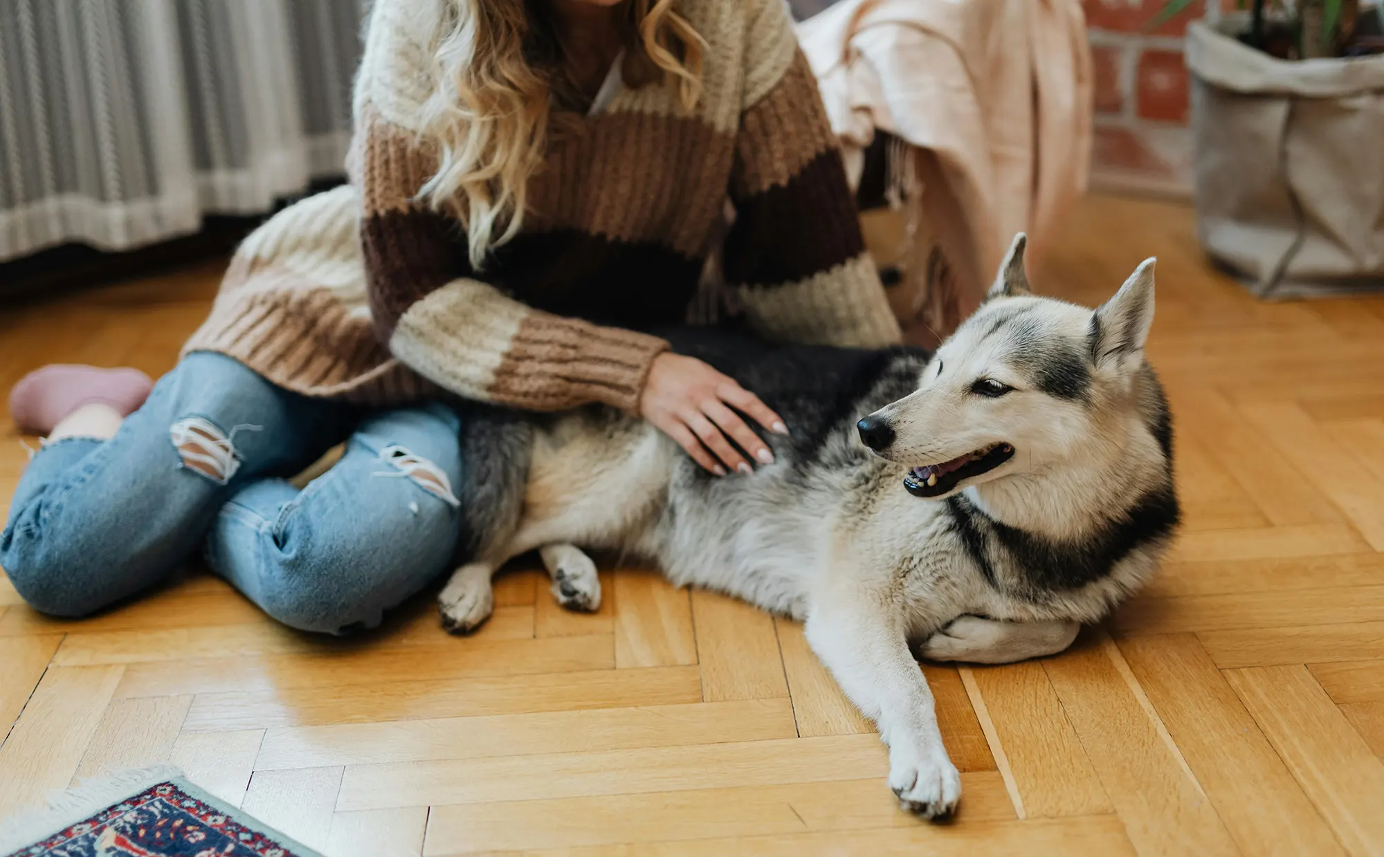 What are the new rules for renting with pets?
